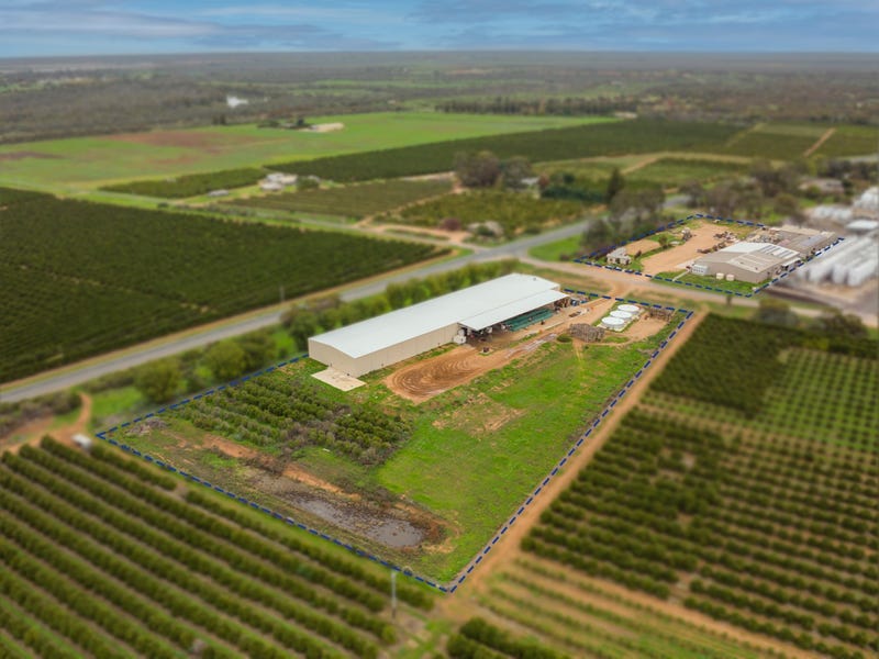 99 Link Road, Mourquong, NSW 2739
