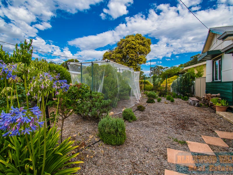 107 Blackwood Road, Greenbushes, WA 6254