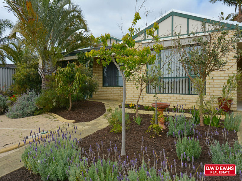 45 Amos Road, Wanneroo, WA 6065 Property Details