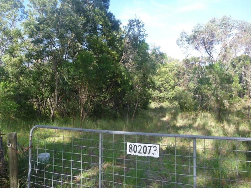 Lot 12 Haynes Edwards Road, Naracoorte, SA 5271 Property Details