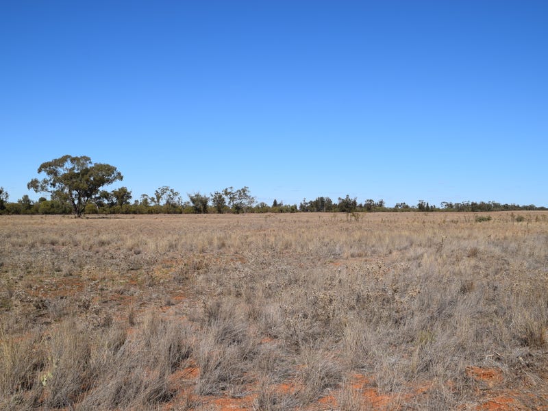 'KNC Plains' 4026 Cockies Road, Tottenham, NSW 2873 Property Details