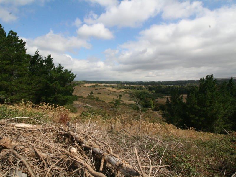 B, 225 Four Star Road, Creswick, Vic 3363 Property Details B, 225 Four Star Road, Creswick, Vic 3363 Property Details
