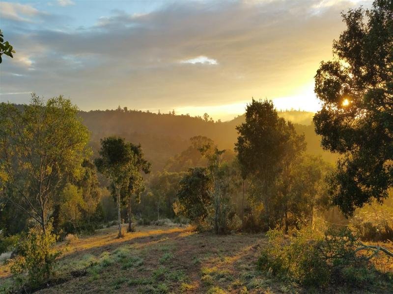 722 Riverside Drive, Pine Mountain, Qld 4306 Property Details