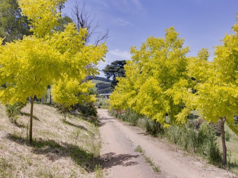 28 The Pines Lane, Poowong, VIC 3988