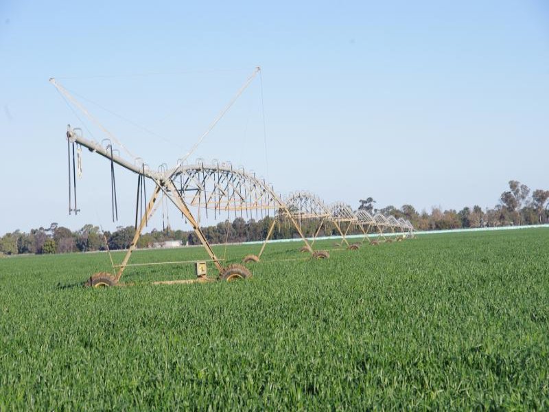 Sold Property Prices & Auction Results in Waaia, VIC 3637 Pg. 78