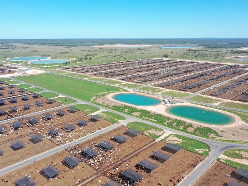 Fernvale Qld Rodeo Real Estate for Sale in Ipswich - Greater Region, QLD (+2 locations ...