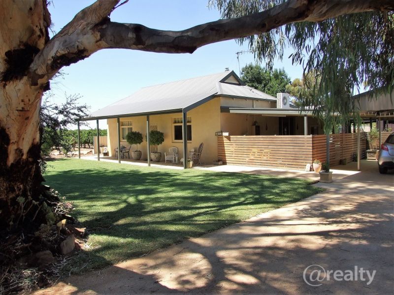 168 Paroo Street, Renmark North, SA 5341