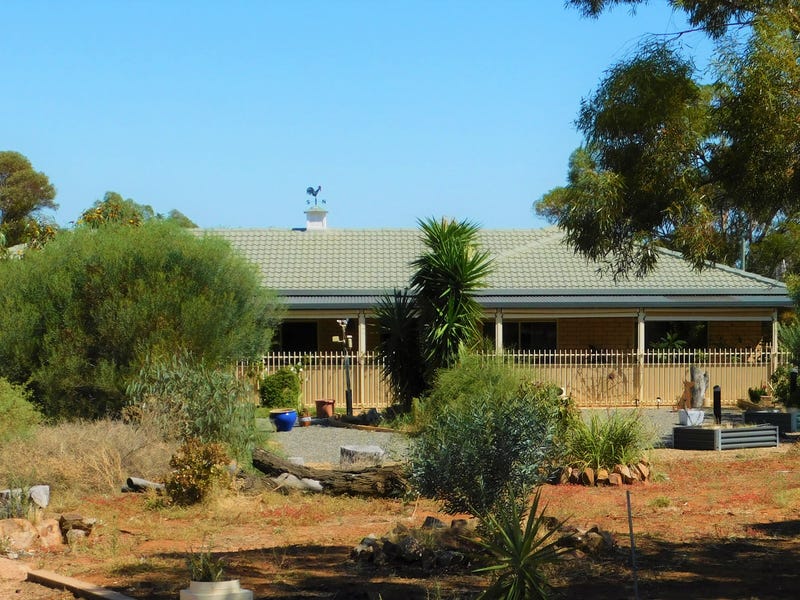 260 Scenic Drive, Napperby, SA 5540 Property Details