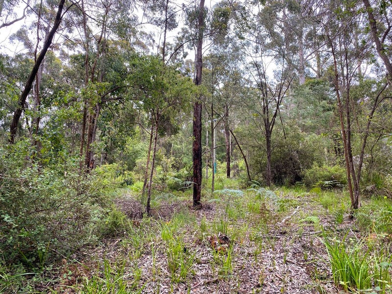 28 Payne Road, Denmark, WA 6333