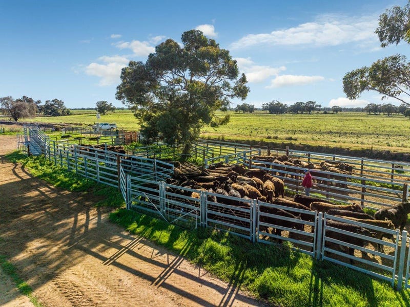 495 Burraboi Road, Barham, NSW 2732 Other for Sale