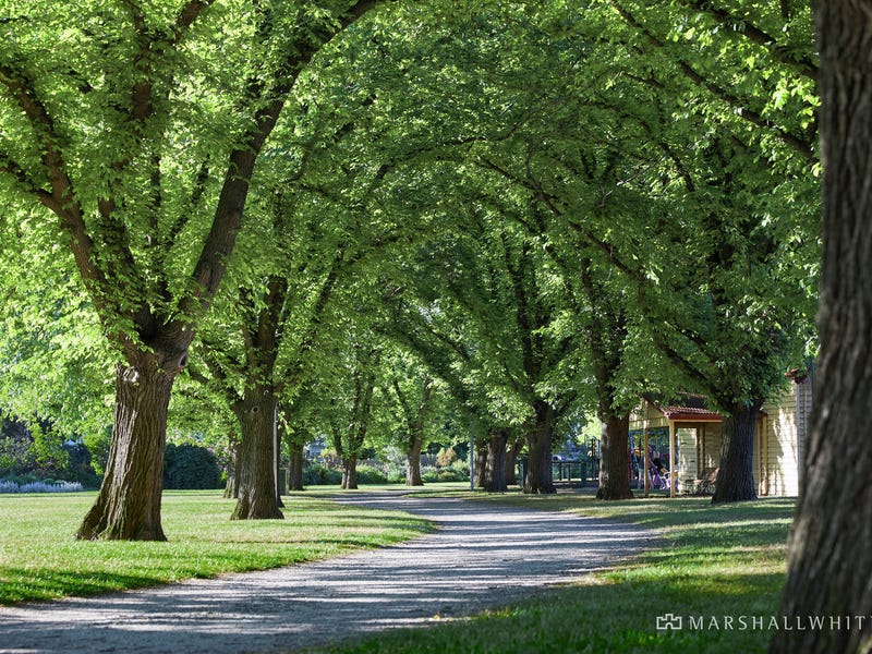 4 Parkside Street, Malvern, VIC 3144