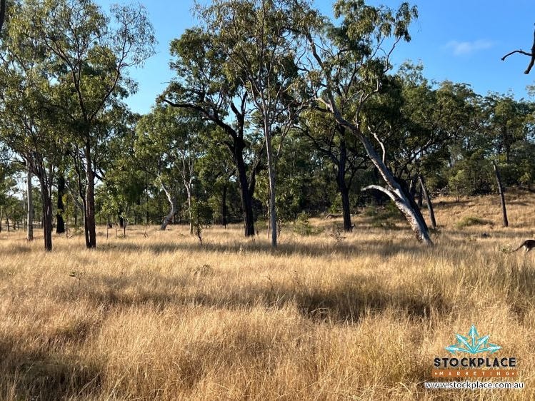 Charters Towers City address available on request Livestock for