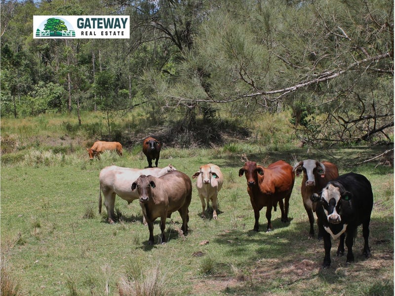 Smiths Creek Road, Kyogle, NSW 2474 Property Details