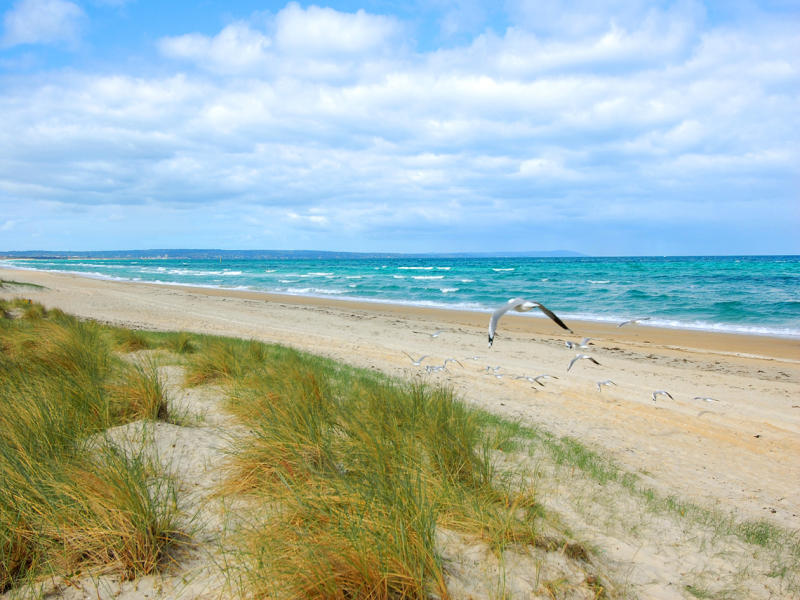 2-117-nepean-hwy-aspendale-vic-3195-property-details