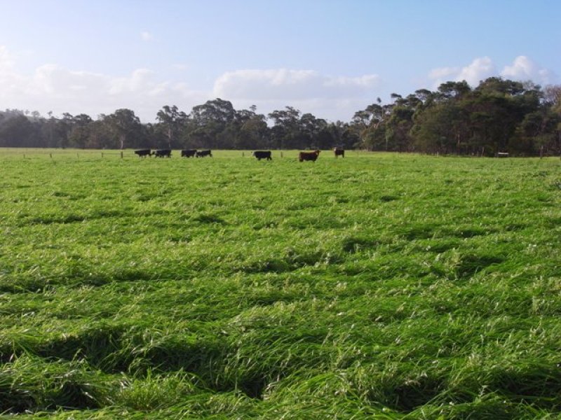 105 Glengarry West Road, Tyers, Vic 3844 Property Details