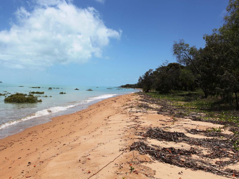 81 Colonial Drive, Clairview, QLD 4741