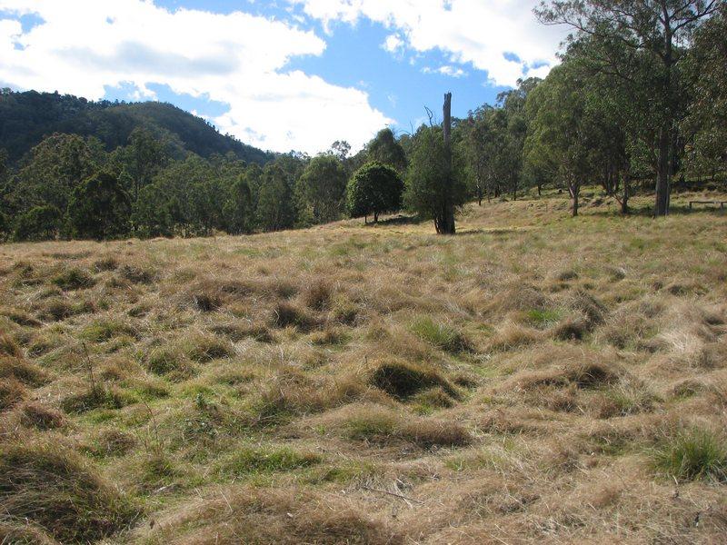 34 Adjinbilly Rd, Killarney, Qld 4373 Property Details