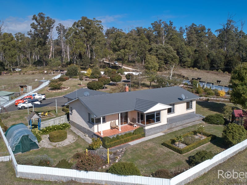 480 Jensens Road, Scottsdale, Tas 7260 Property Details