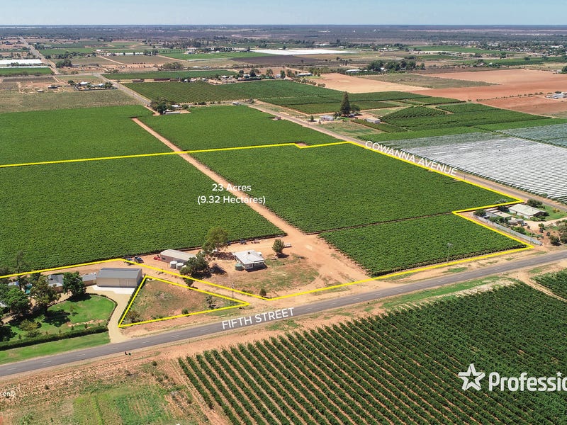 344 Fifth Street, Merbein, Vic 3505 Horticulture for Sale