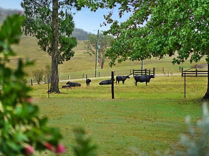 1278 MILL CREEK ROAD, Stroud, NSW 2425 Property Details