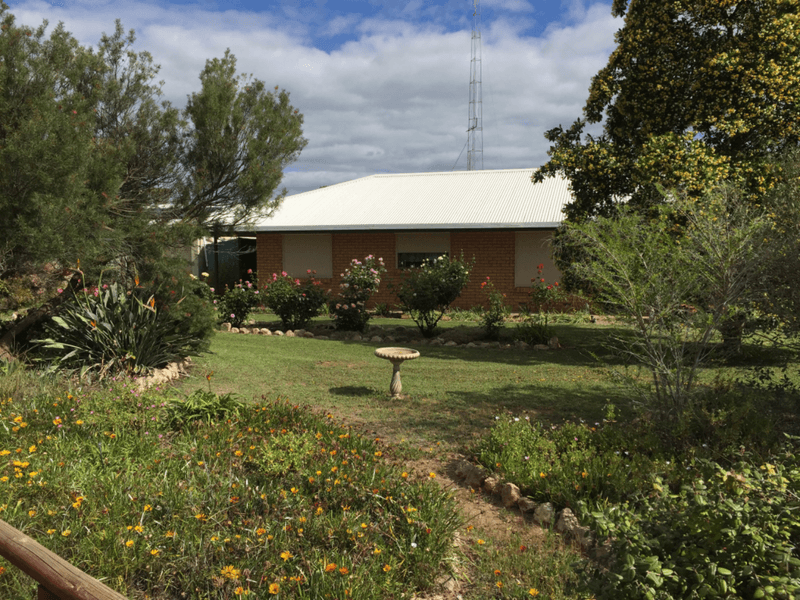 43 47 Reed Street, Murrayville, Vic 3512 Property Details