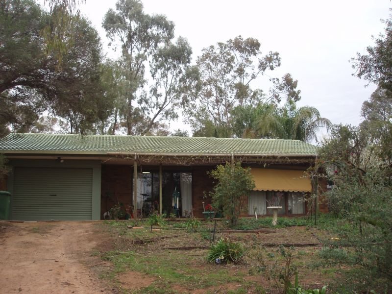 27 Riverview Drive, Dareton, NSW 2717