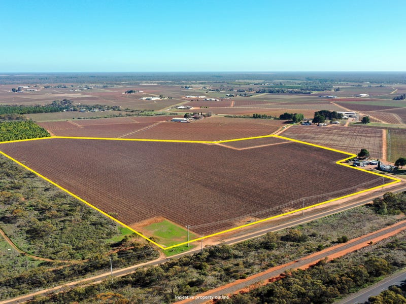 Lot 2 PS216987 Anzac Road, Robinvale, Vic 3549 Horticulture for Sale