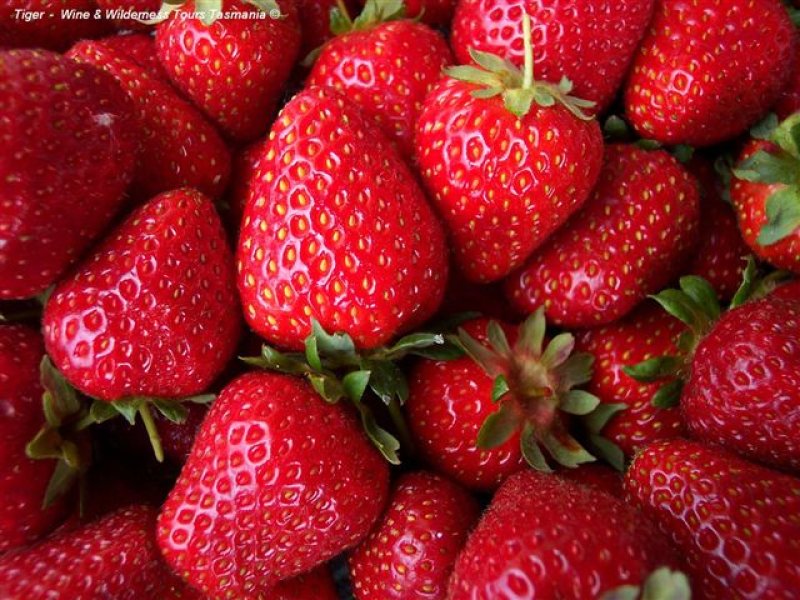 105 Hillwood Road, Hillwood, Tas 7252 Property Details