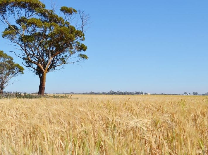 . 'Manns', Tammin, WA 6409 Property Details