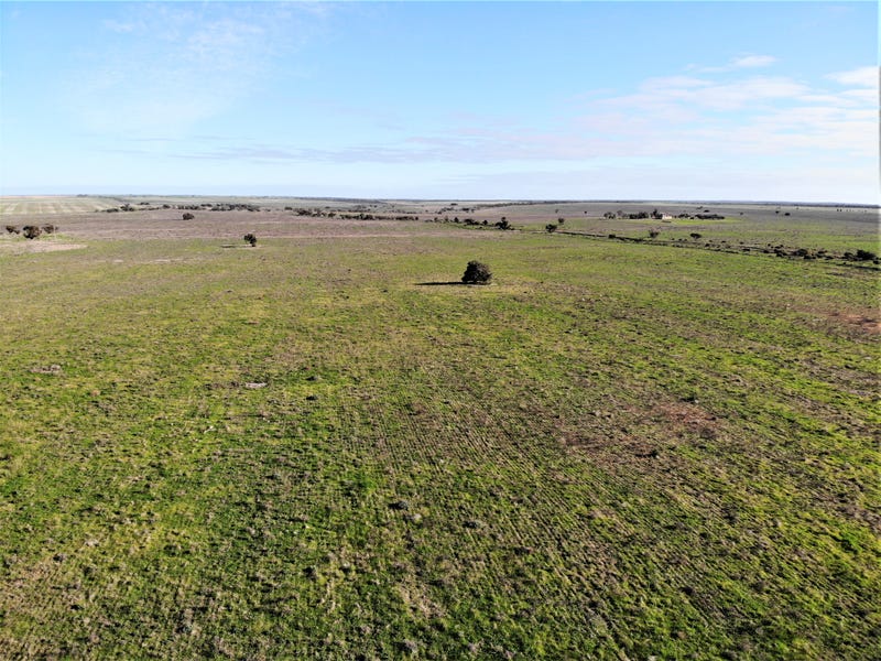 * Pallarang Road, Cowangie, Vic 3506 Cropping for Sale realestate