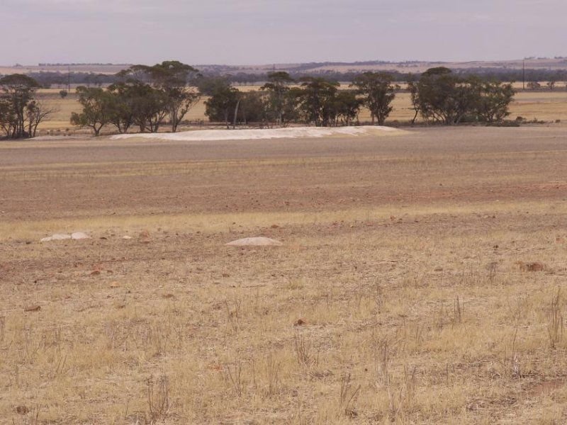 3689 Fiegert Road, Cunderdin, WA 6407 Property Details