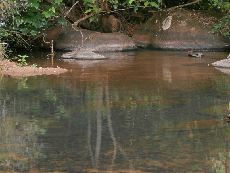 Property 7478819, Tarzali, Qld 4885 Property Details