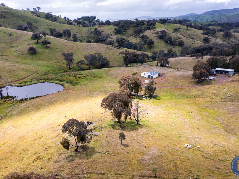 2919 Taylors Flat Road, Reids Flat, NSW 2586