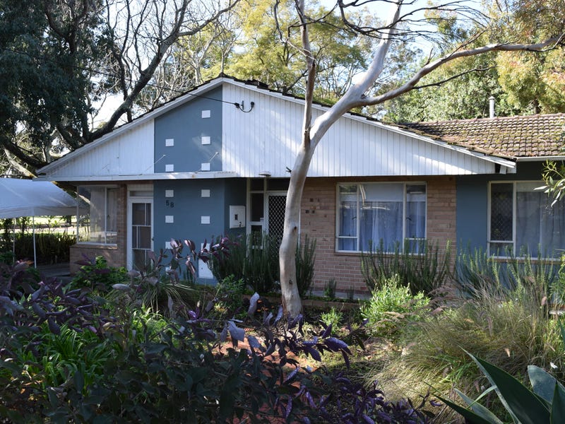 58 Woodsome Street, Mount Lawley, WA 6050