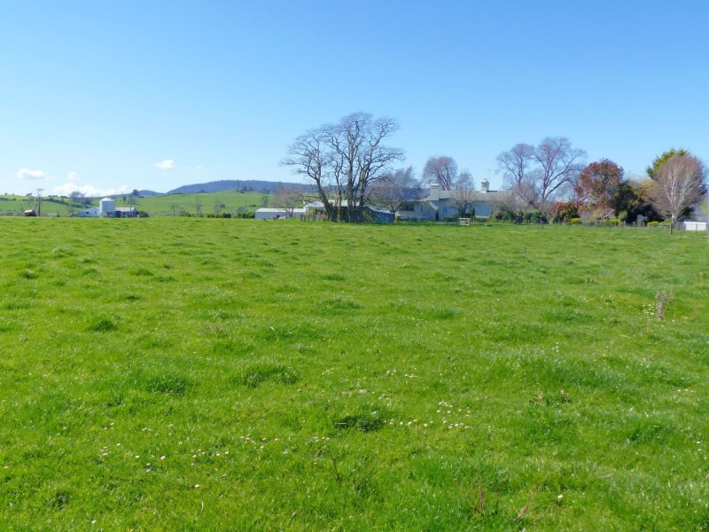 1123 Weegena Road, Dunorlan, Tas 7304