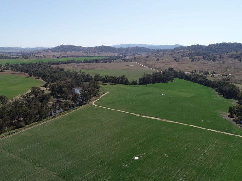 857 Halls Creek Road, Halls Creek, NSW 2346