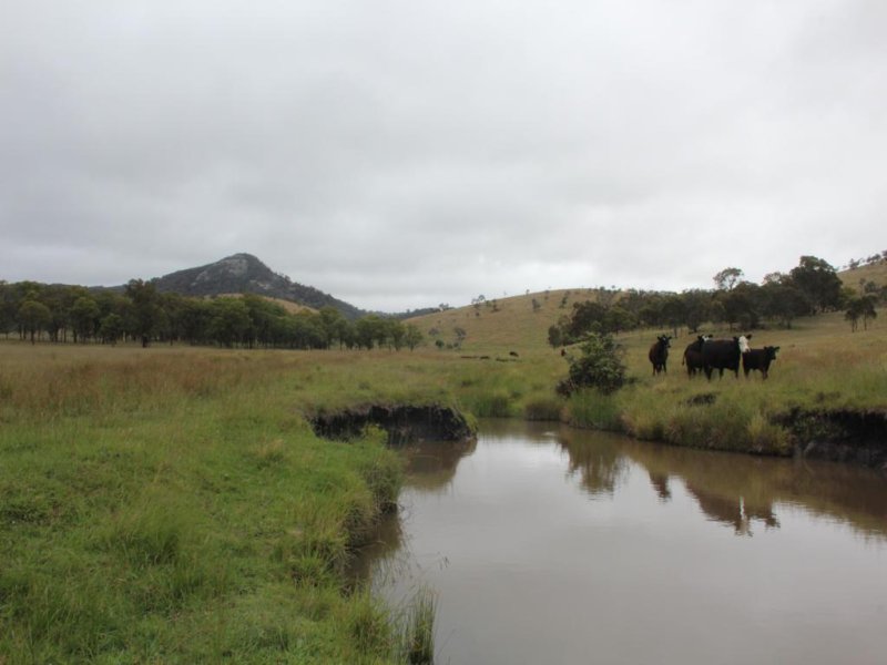 Lot 19 Four Mile Creek Road, Tenterfield, NSW 2372 Property Details
