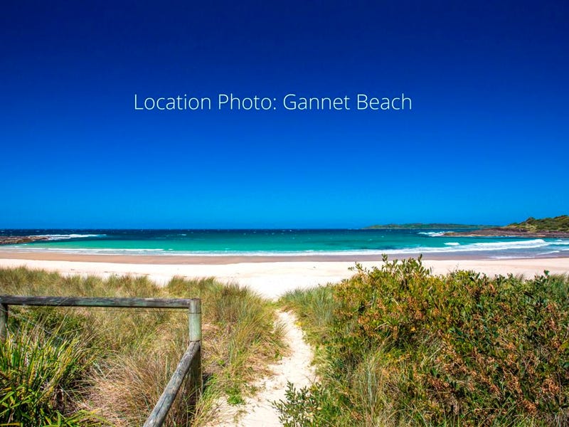 26 Malibu Drive, Bawley Point, NSW 2539