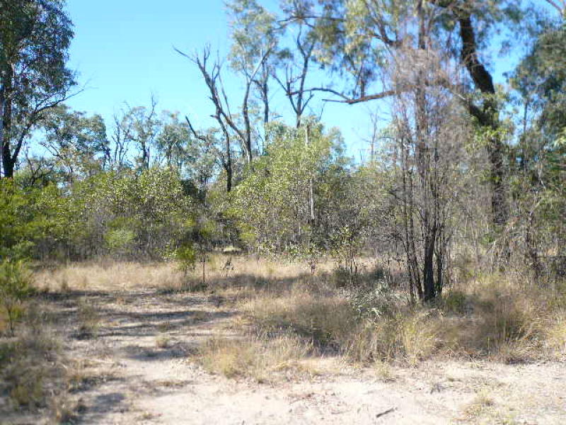 261 FARM LANE, Tara, Qld 4421 - Property Details