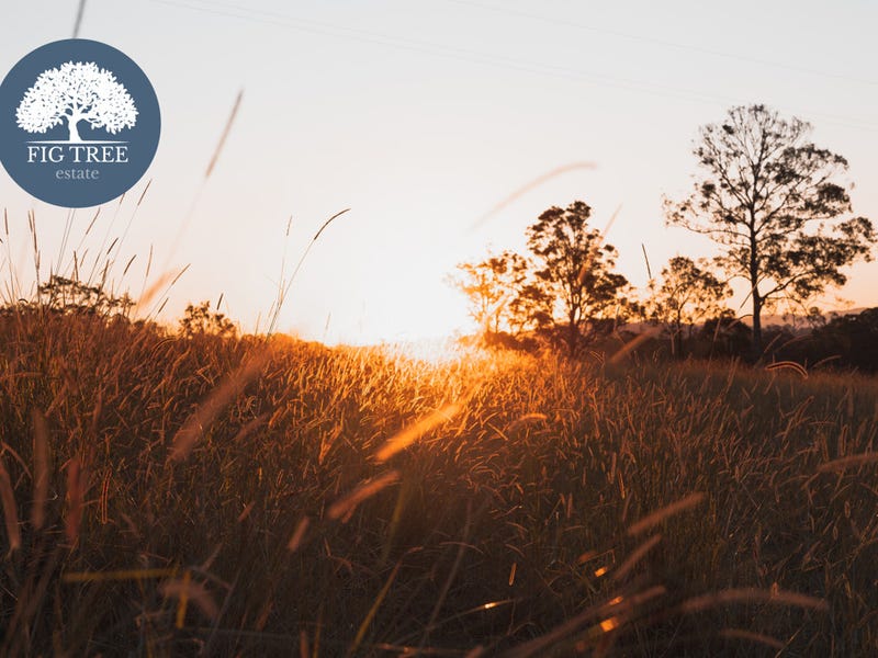 180 Runnymede Road, Kyogle, NSW 2474