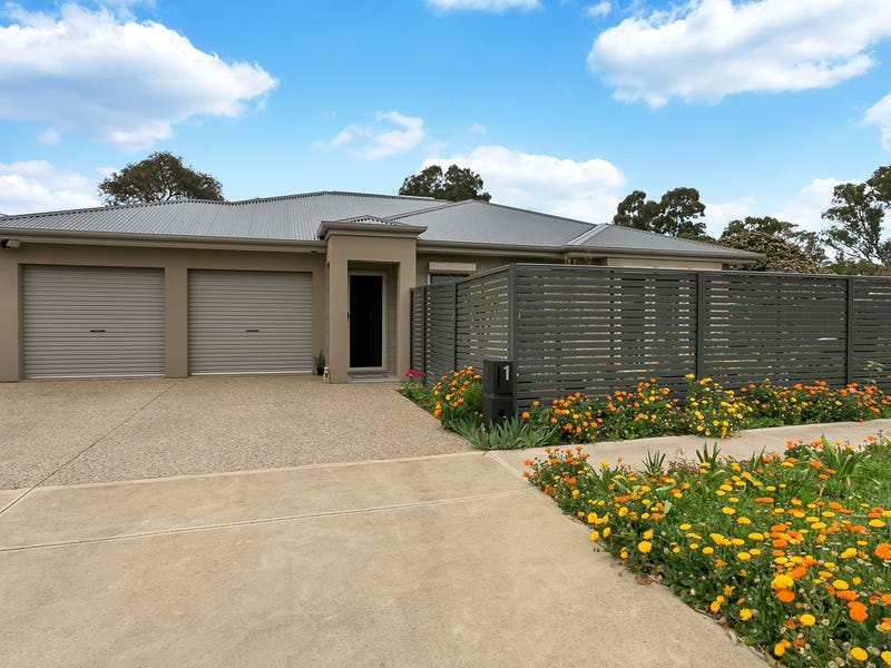 1 Tait Avenue, Marion, SA 5043 Property Details