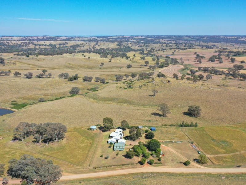 438 Wickham Lane, Young, NSW 2594 House for Sale