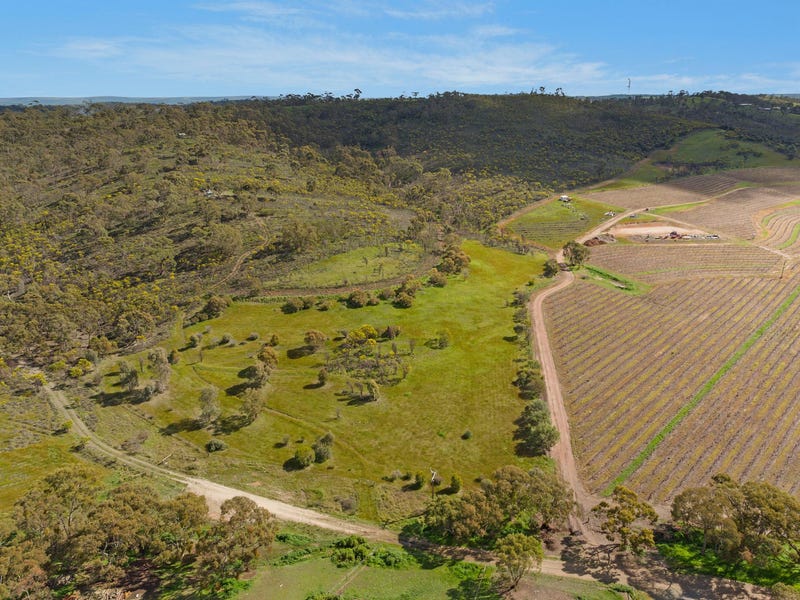 Lot 3 OHLMEYER PARK ROAD, Emu Flat, SA 5453 Residential Land for Sale