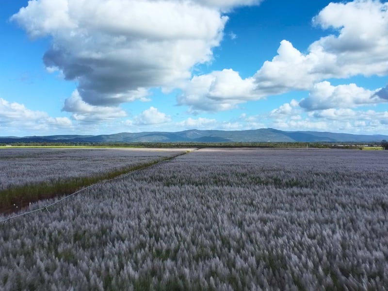 Rural properties for Sale in QLD (+1 location) Pg. 61