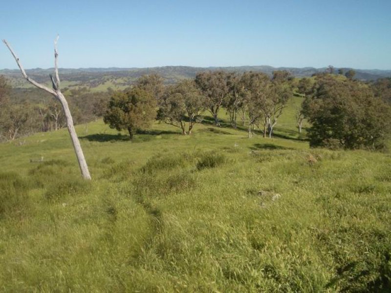 Property 7206930, Mudgee, NSW 2850 Property Details