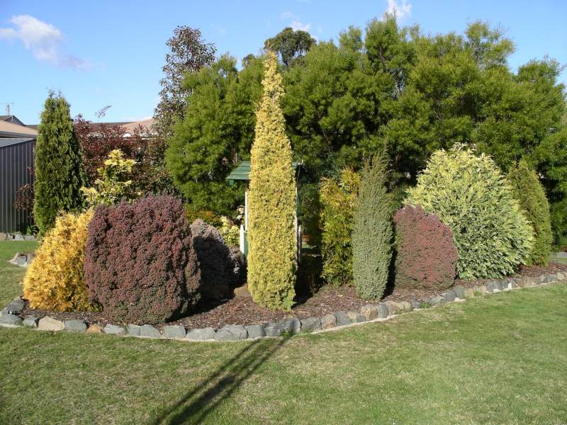 48 Chris Street, Prospect Vale, TAS 7250