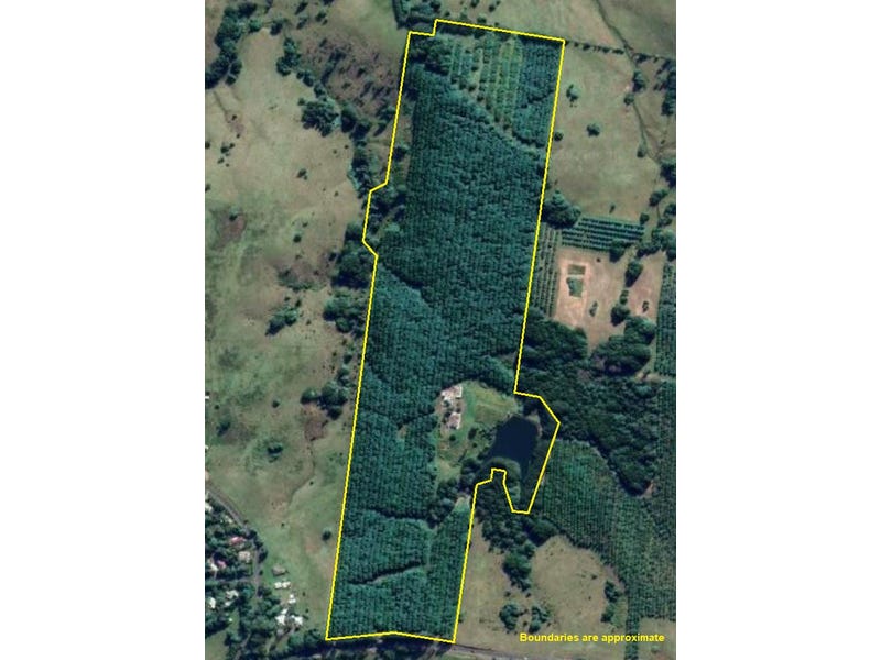 1360 Lismore Road, Clunes, NSW 2480 Property Details