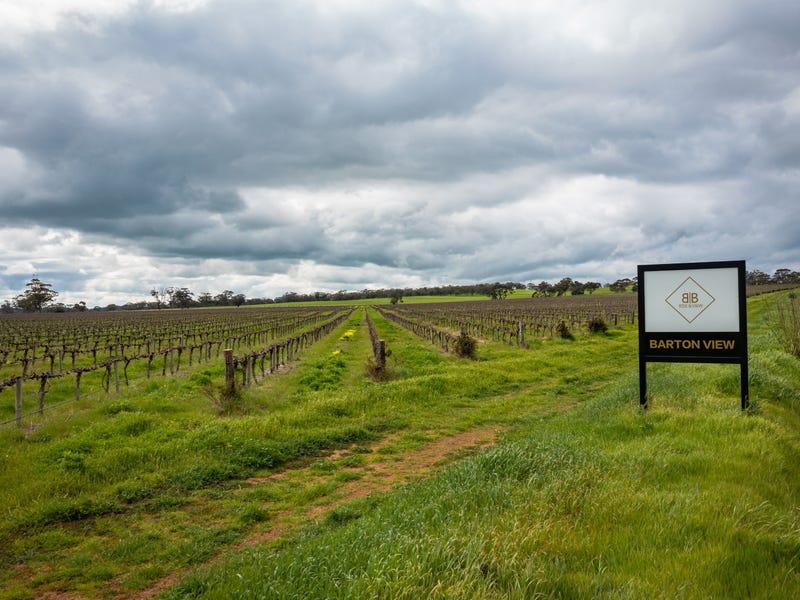 Lot 159 160 Sturt Highway, Stockwell, SA 5355 Viticulture/vineyard