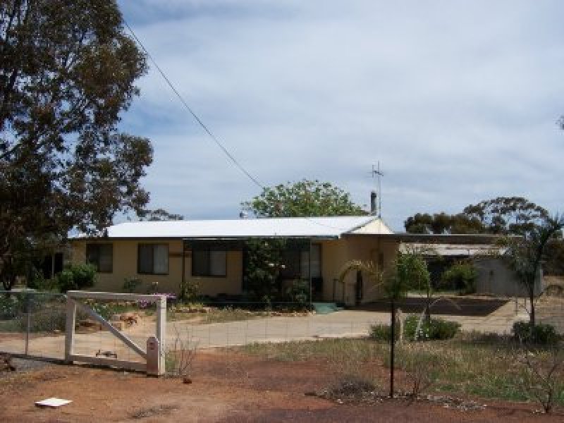 54 Bairstow Street, Dumbleyung, WA 6350