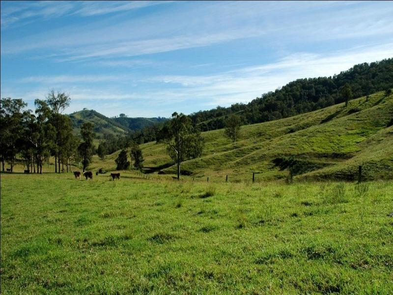 315 Bakers Creek Road, Bakers Creek, NSW 2422